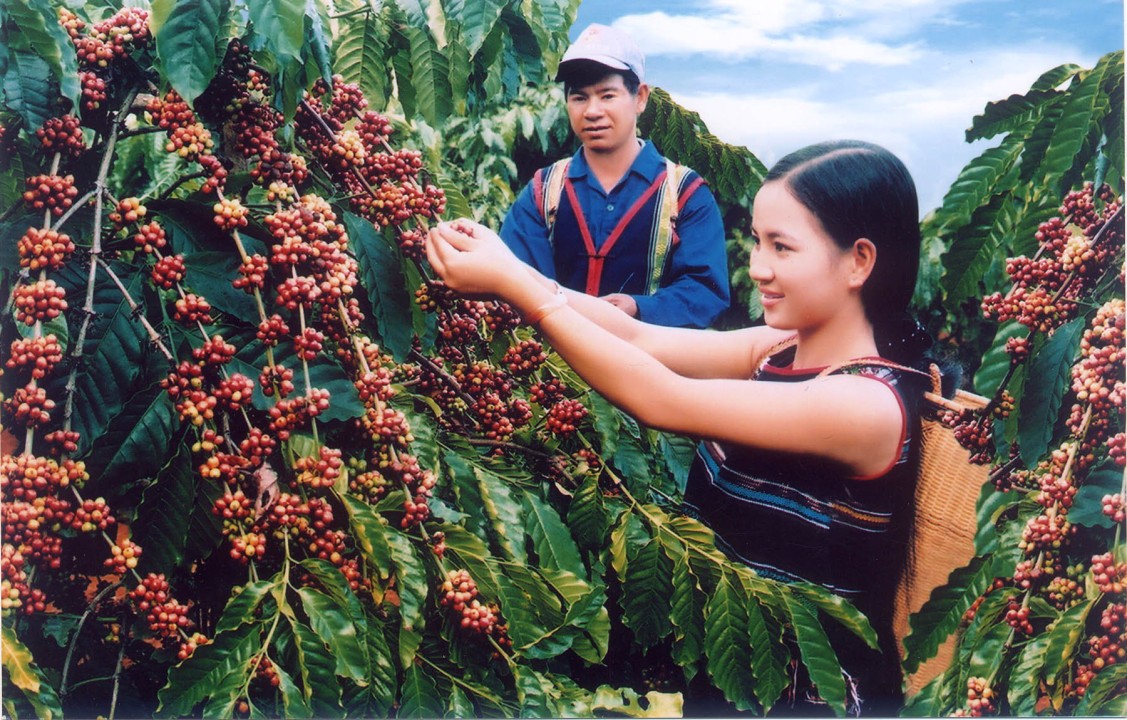 Investment incentives in Dak Nong Province
